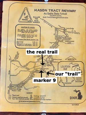 hiking at mason tract