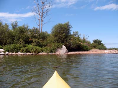 Kayak Expotition to Guano Island