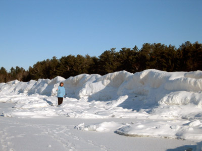 moominbeach hummocks