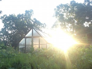 sunrisegreenhouse