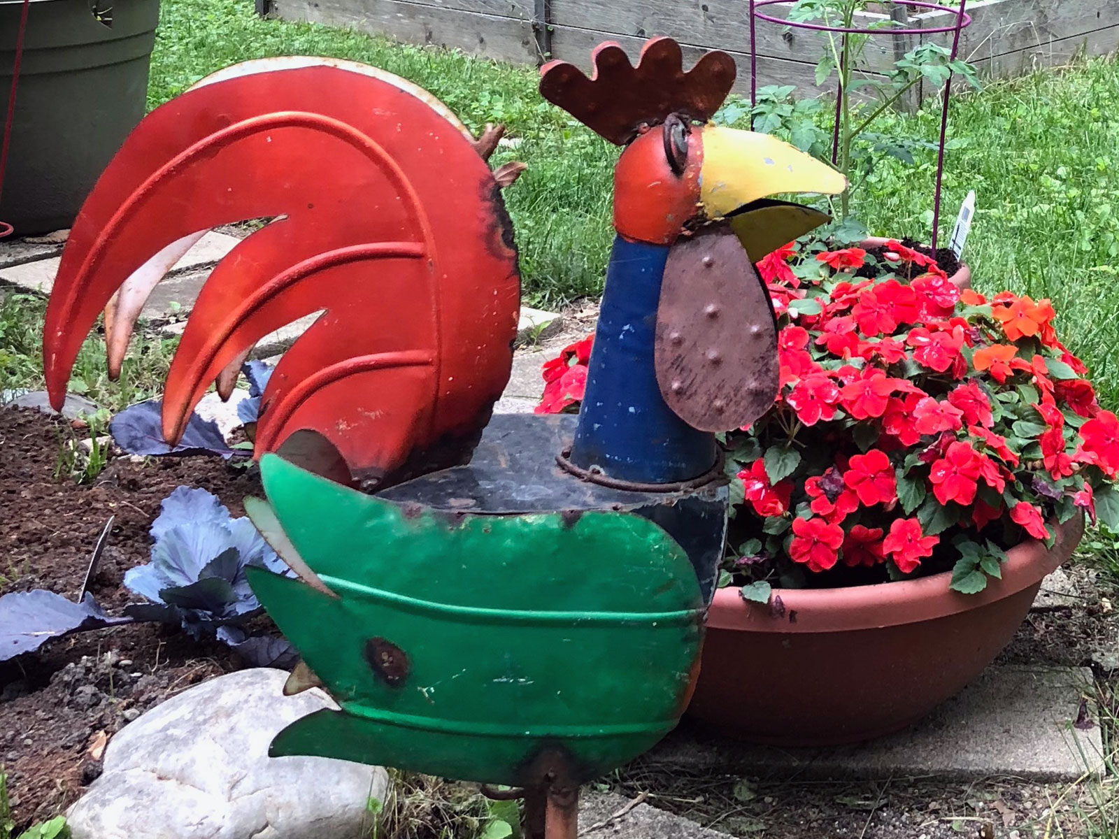 ababsurdo-blog-archive-rooster-in-the-neighbor-rooster-in-the